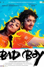 Bad Boy (2023) Hindi HD