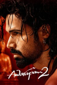 Awarapan 2 (2026) Hindi HD AMZN