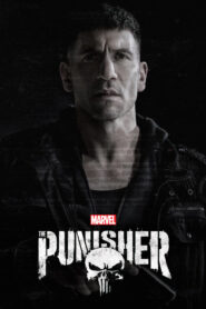 The Punisher (2017) Hindi Season 1 Complete